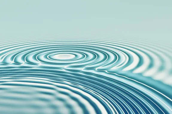 BetBeard Kasino Podpora